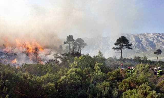 Provence on maximum alert for forest fires