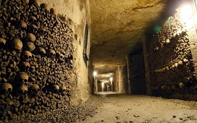 Thieves steal 250 bottles of wine... using the Paris catacombs
