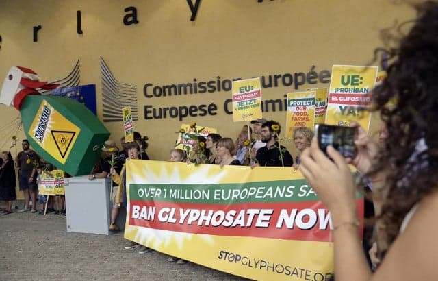 France to vote against EU renewal of controversial weedkiller