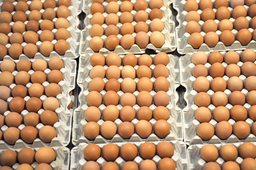 'Toxic eggs' surfacing in ever more German states, officials say