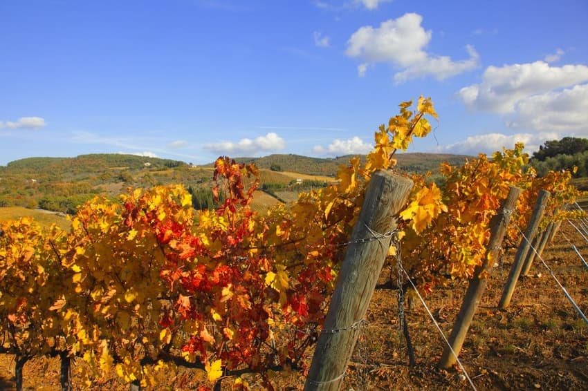 Six reasons autumn is the best time to visit Italy