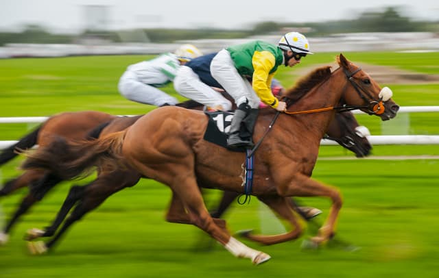 Valais man wins over a million francs on the horses... with a 2.50 franc bet