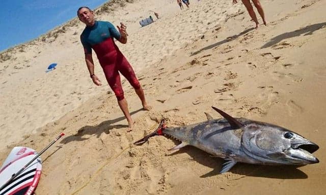 Frenchman lassoes 2-metre tuna, surfs to shore