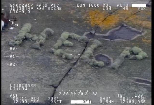 VIDEO: Shipwrecked sailor saved in Sweden after writing 'help' in moss