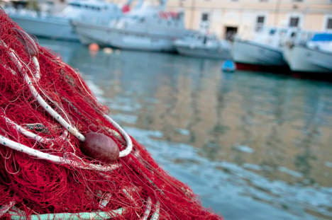 Italian fisherman 'throws migrant worker overboard' to evade police