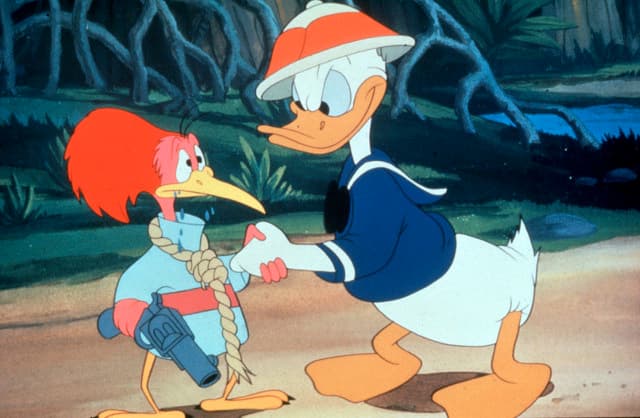 Donald Duck so popular Swedes put down their mobiles at Christmas