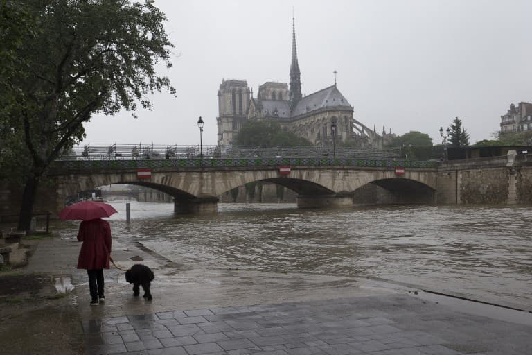 Paris: Policewoman missing after being swept away in River Seine