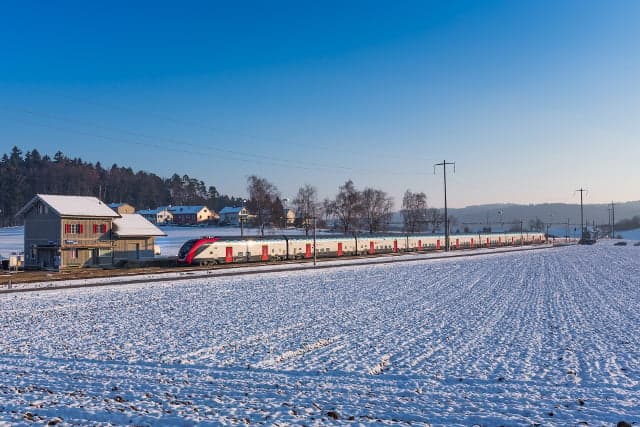 New Swiss trains ‘do not meet needs of disabled passengers’