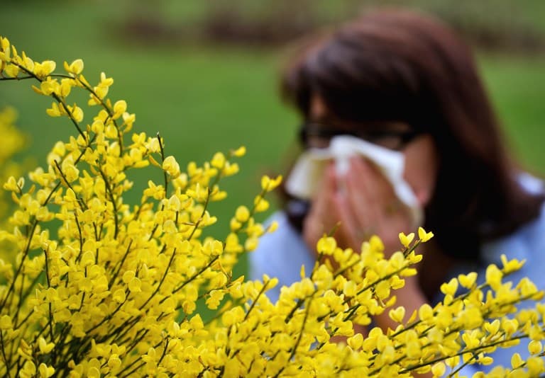 Atchoo! Pollen levels in Paris at 25-year high