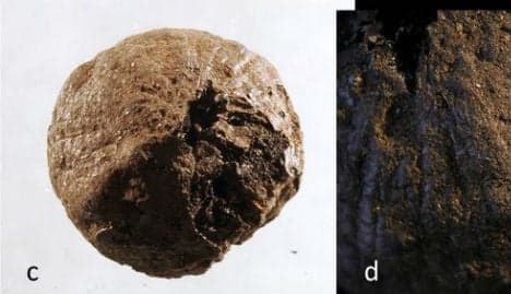 Ancient onion reveals Roman links with 'Sweden's Pompeii'