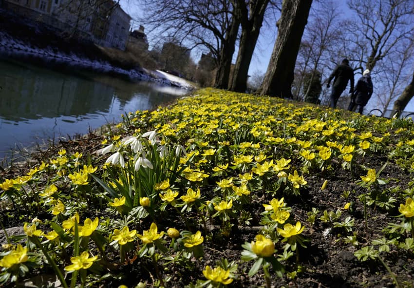 First sign of spring in Sweden? 'Double-digit' temperatures forecast as April begins