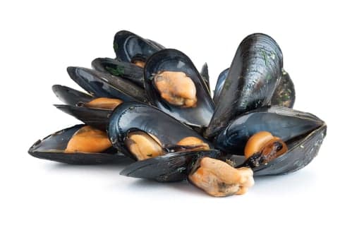 Dodgy mussels blamed for norovirus outbreak in Spain