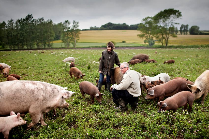 Denmark’s government to spend a billion on organic farming
