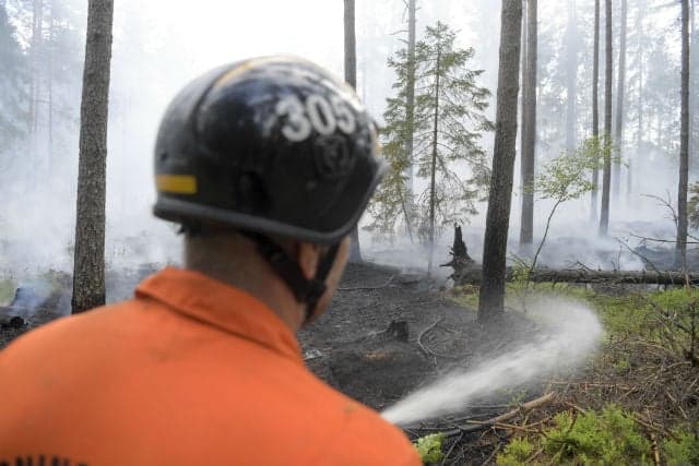 Swedish police arrest woman for starting forest fire