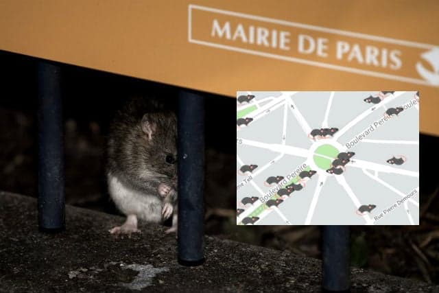 Spot a rat: Real-time map aims to plot Paris rodent sightings