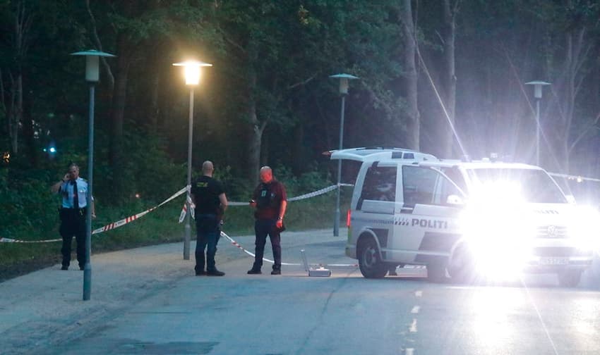 Shootings near Copenhagen may be gang-related: police