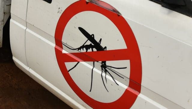 French mayor bites back by taking out decree to ban mosquitoes from village