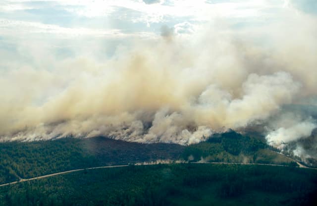 Sweden's wildfires halved overnight and rain might be on the way