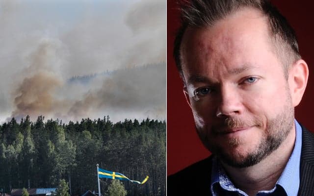 Opinion: 'Sweden's wildfires are everyone's business'