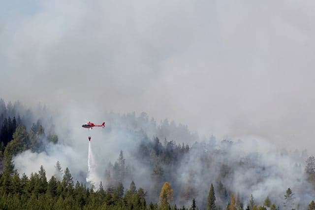 In numbers: The scale of Sweden's wildfires and the efforts to contain them