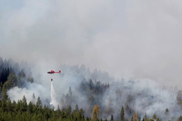 Undetonated ammunition and 'worst possible weather' delays work to extinguish Swedish forest fires