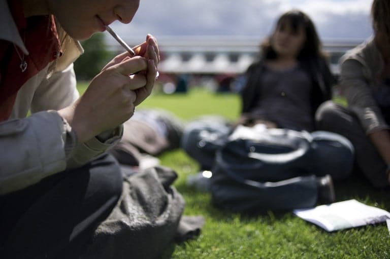 Paris to roll out smoking ban in public parks