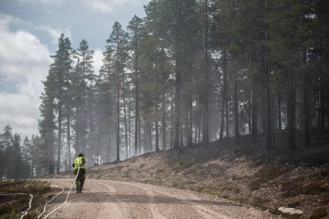 Wildfires put climate on the agenda in Swedish election