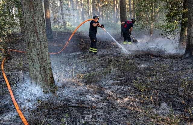 Opinion: Sweden's stretched firefighters need more support
