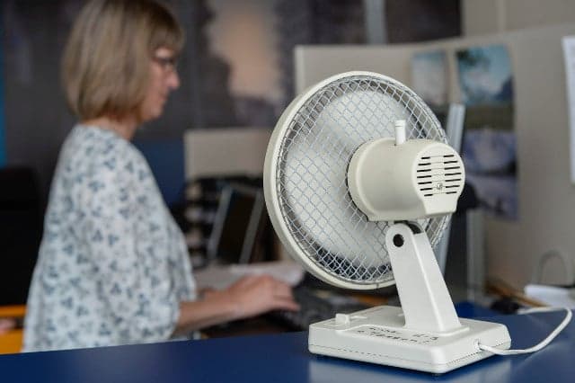 The hunt for the last fan in Sweden: How the heatwave left Swedes sweating