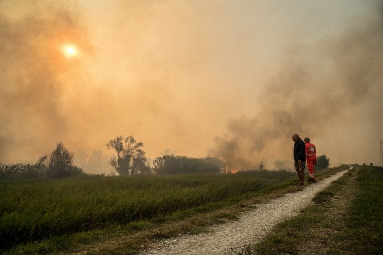 Arson suspected in Pisa forest fire