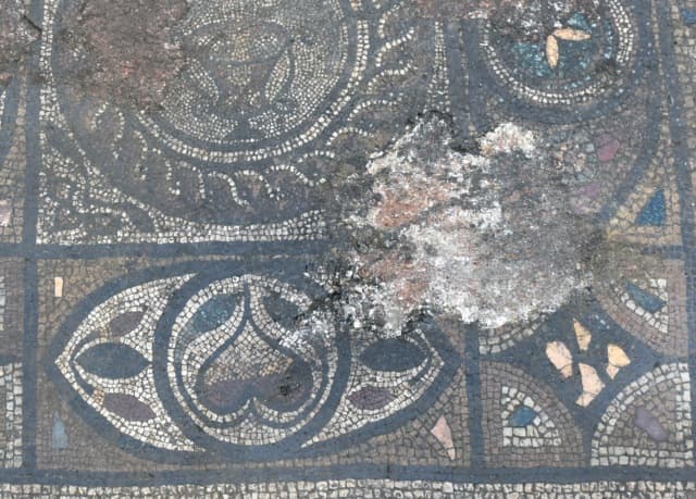 Richly-decorated Roman mosaic uncovered during Swiss building works
