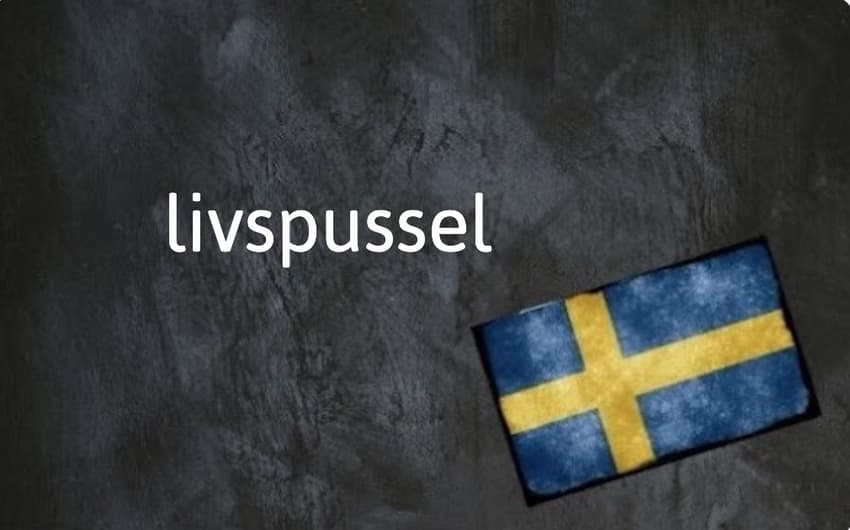 Swedish word of the day: livspussel