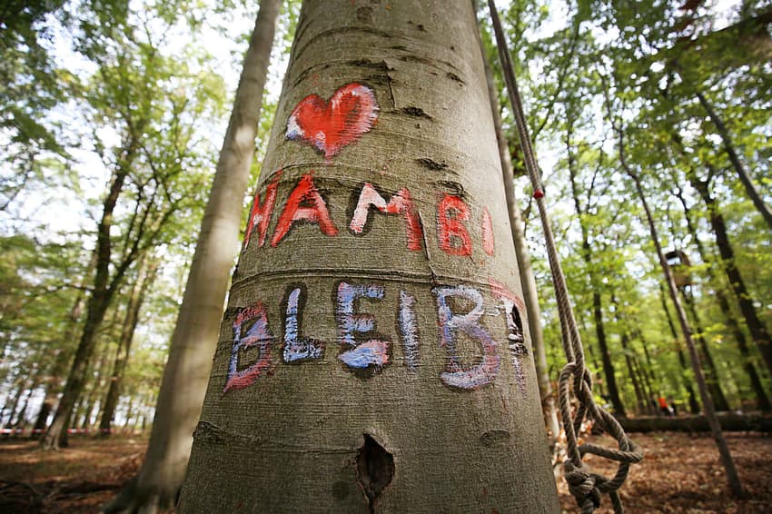 German court blocks energy giant from razing forest near Cologne