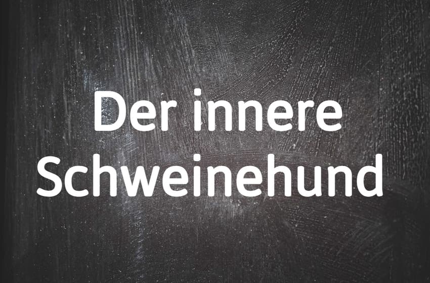 German word of the day: Der innere Schweinehund
