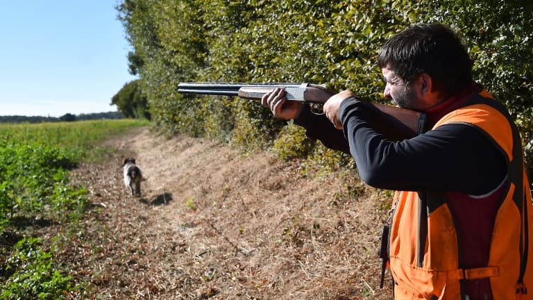 OPINION: 'France should get tough on hunters... but it probably won't'