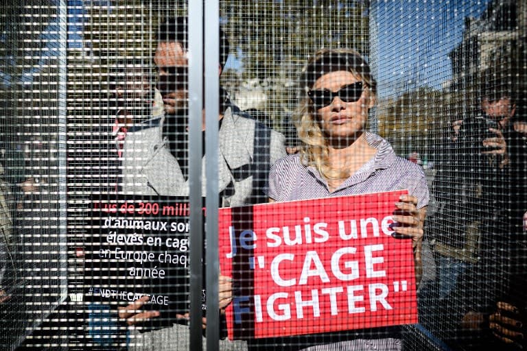 'Cage fighter': Pamela Anderson gets behind bars in Paris animal rights protest