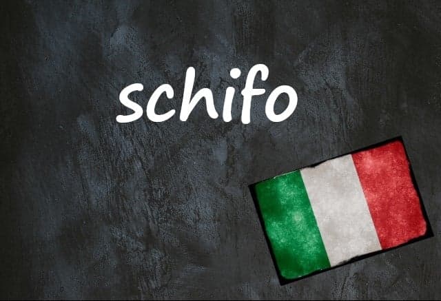 Italian word of the day: 'Schifo'