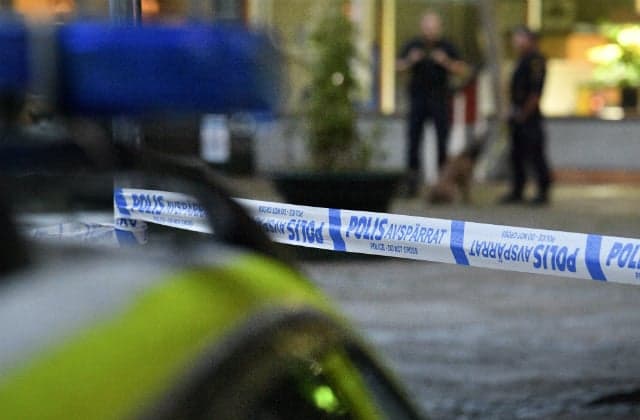 'Astonishing findings' in new Swedish report on extremism and organized crime