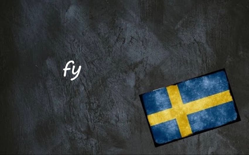 Swedish word of the day: fy