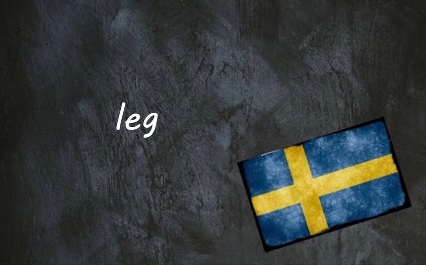 Swedish word of the day: leg