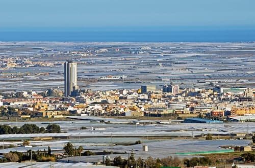 Four reasons El Ejido has become Spain's most far-right town