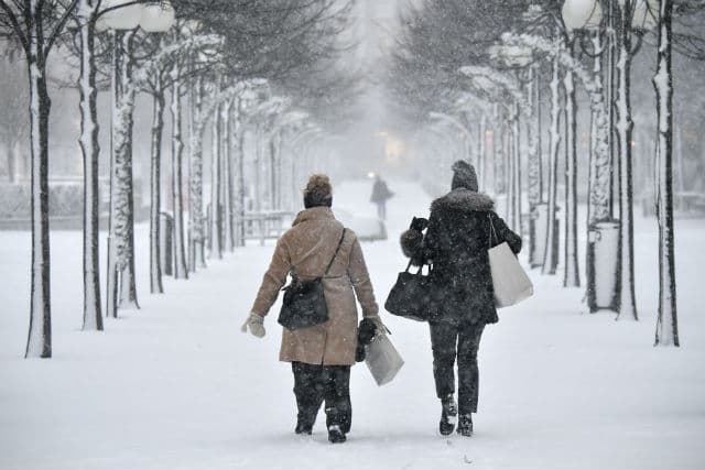 Dreaming of a White Christmas in Sweden? Then head north