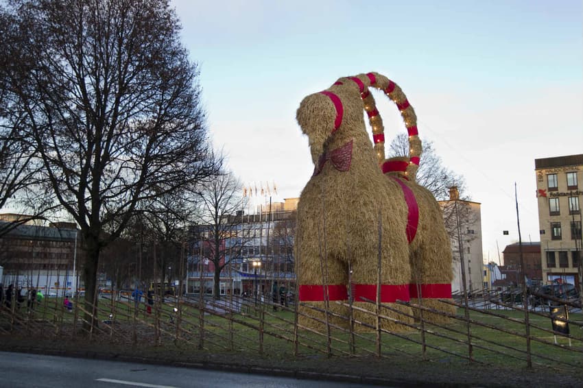 Sweden's Gävle Christmas goat ready to return for festive season