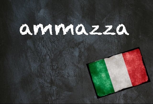 Italian word of the day: 'Ammazza'