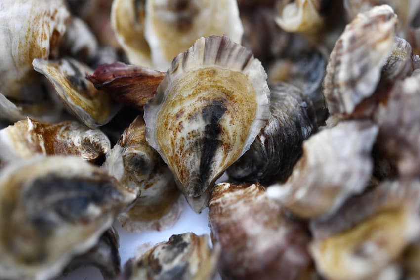 Climate change takes toll on French oyster farmers