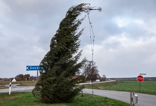 Thousands without power and traffic disrupted as 2019's first storm hits Sweden