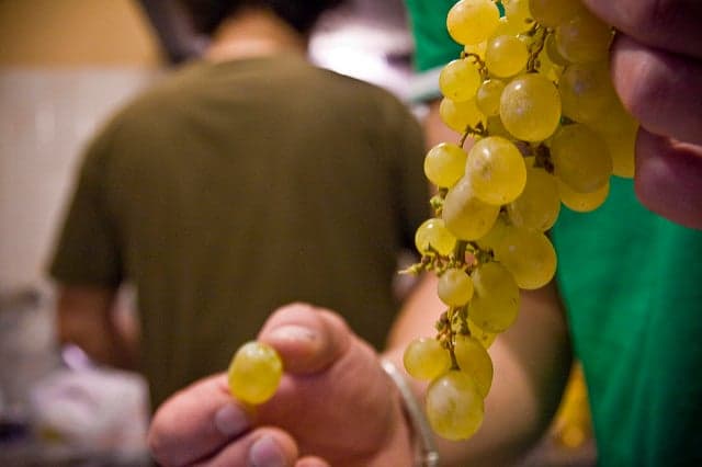 Spanish child chokes to death on New Year's Eve grapes