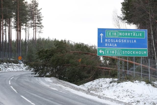 Tens of thousands still without power in Sweden after New Year's storm