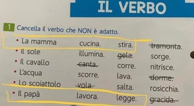 'Mum cooks, Dad works': Italian school textbook triggers outrage