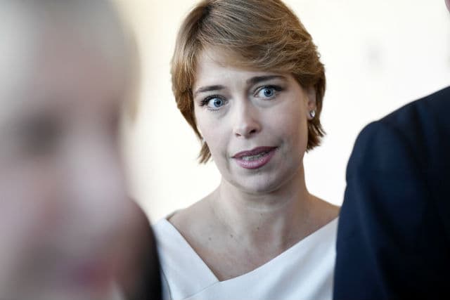 Hungary family plan 'reeks of 1930s': Swedish minister